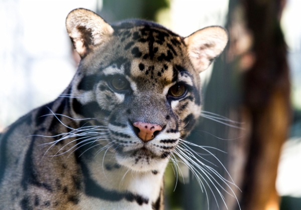 ZOO Wuppertal